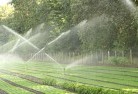 Cumminslandscaping-water-management-and-drainage-17.jpg; ?>